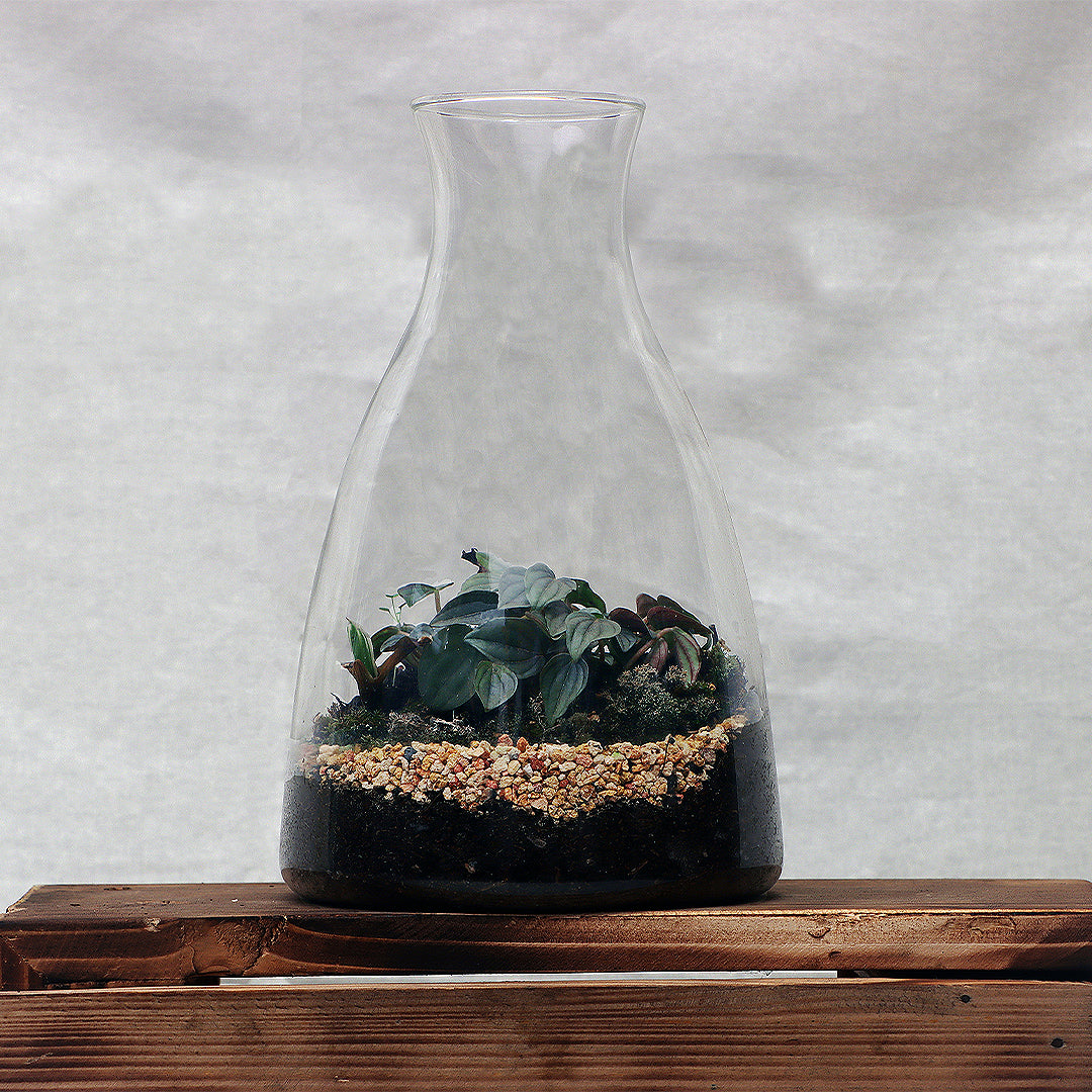 Terrarium Style 4