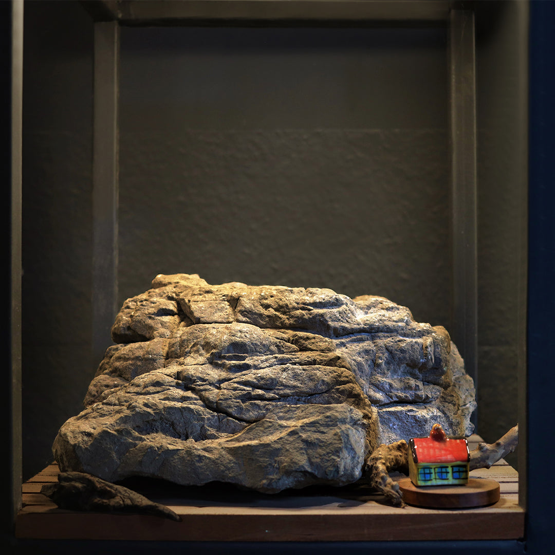 Aquarium Environment Style 8