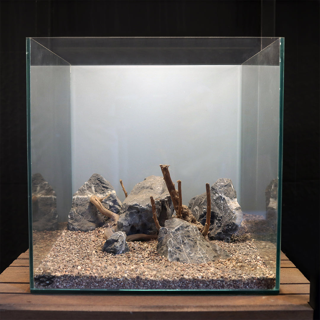 Aquarium Environment Style 2