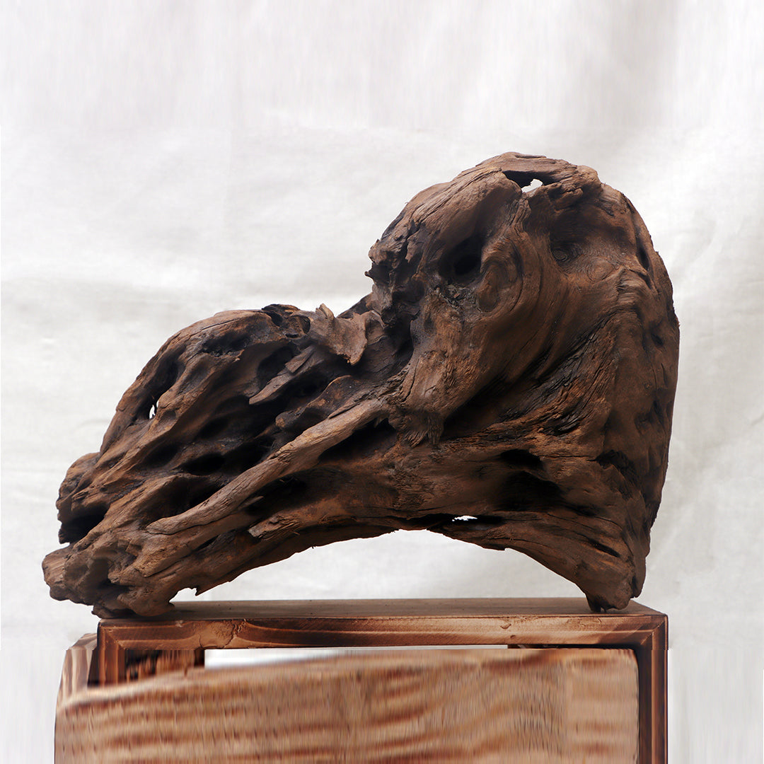 Aquarium Environment Style 9