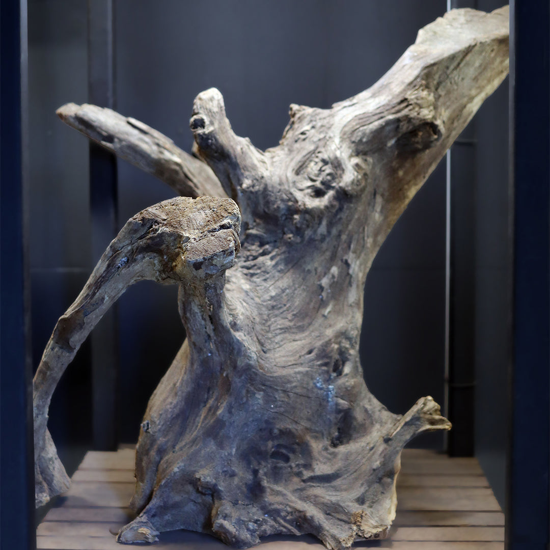 Aquarium Environment Style 7