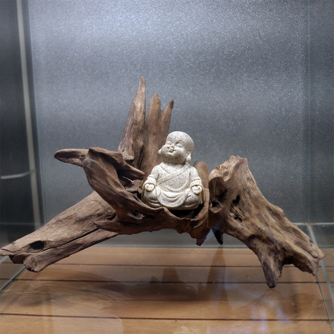 Aquarium Environment Style 10