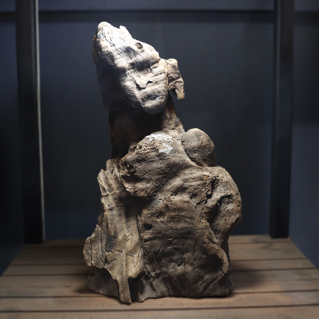 Aquarium Environment Style 11