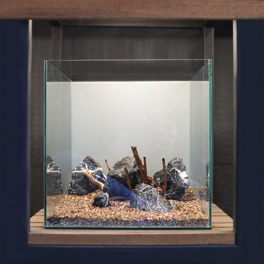 Aquarium Environment Style 4