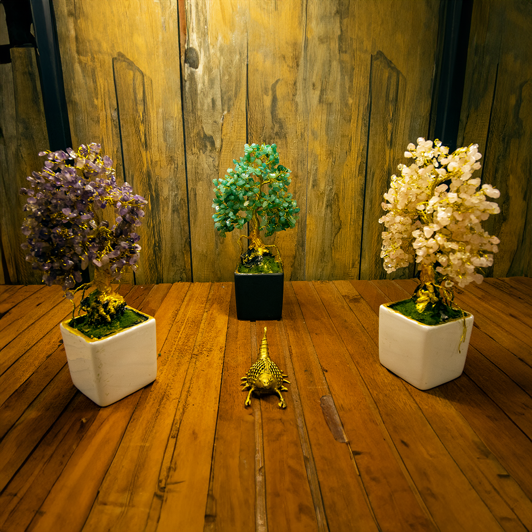 Gemstone Plants
