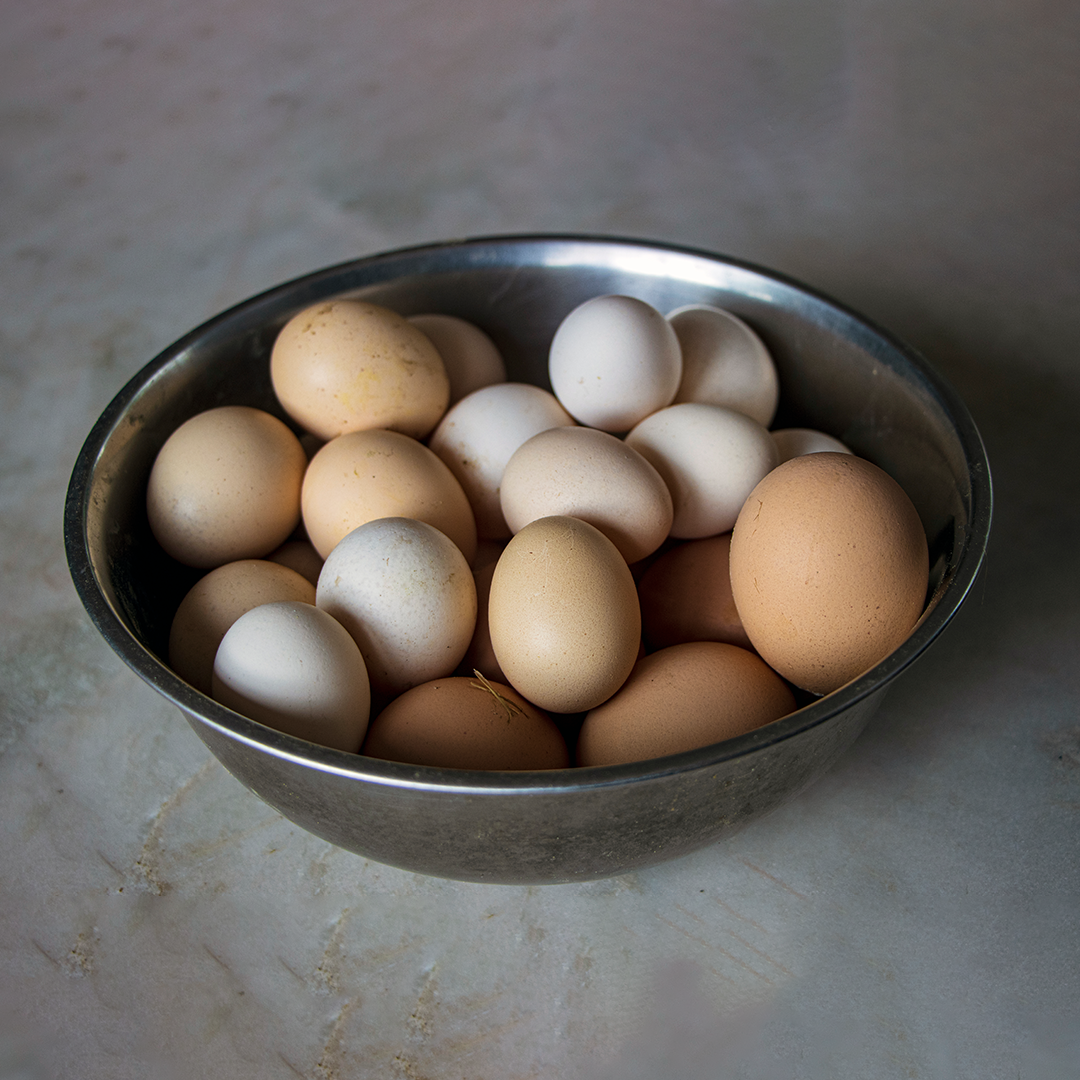 Free Range Eggs