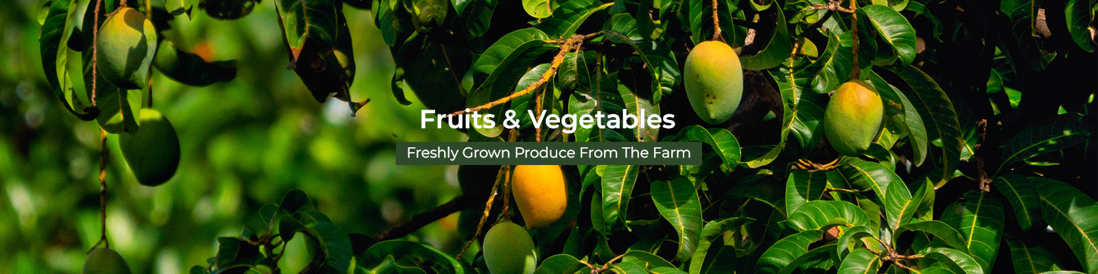 Fruits & Vegetables