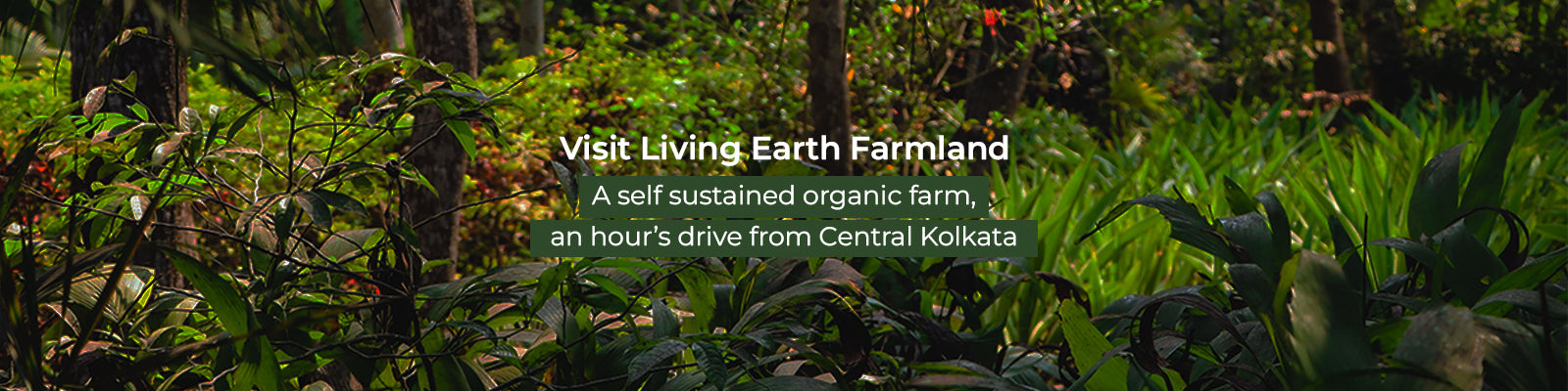 Living Earth Farmland