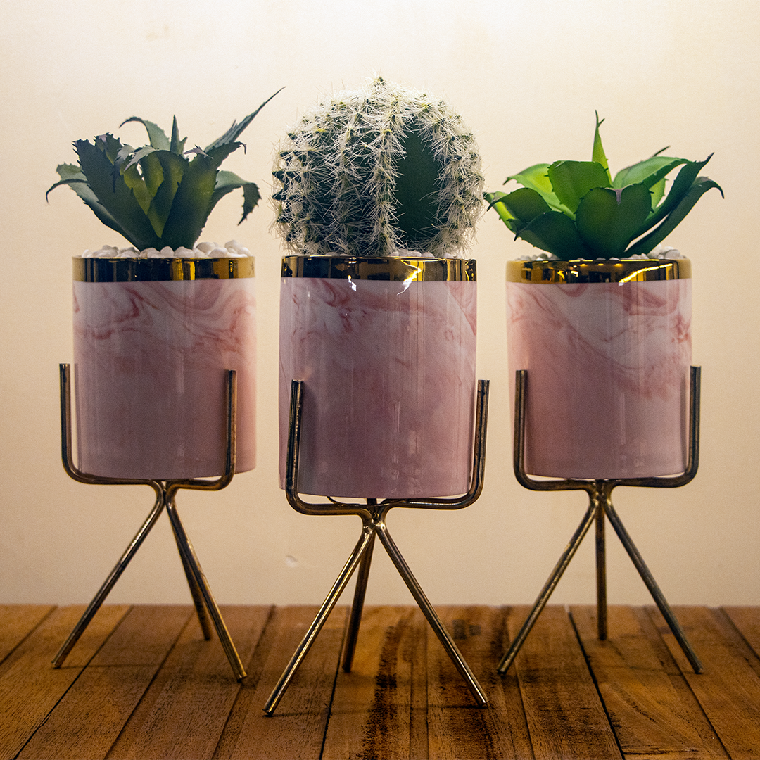Artificial Cactus Pink Pot