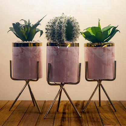 Artificial Cactus Pink Pot