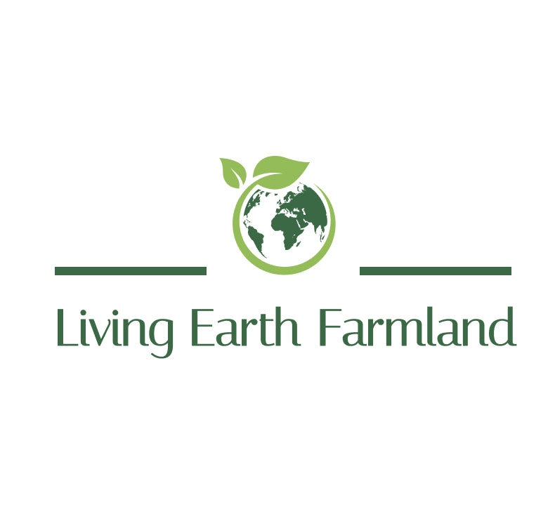 Eco Stay & Organic Farm Near Kolkata | Living Earth Farm Land – Averee